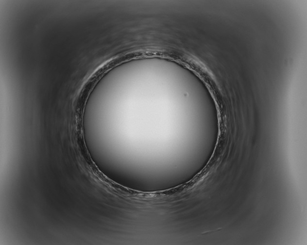 X0000085261352200703090846
