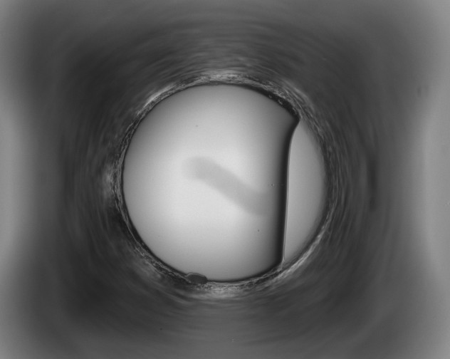 X0000085261353200703090846