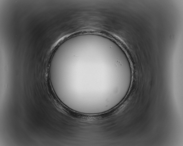X0000085261355200703090846