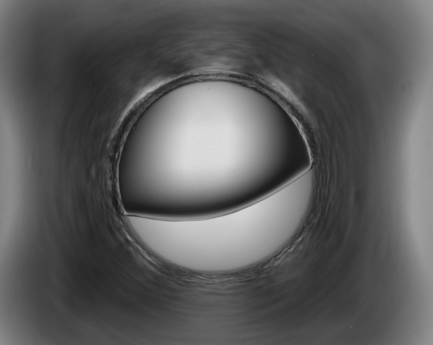 X0000085261356200703090846