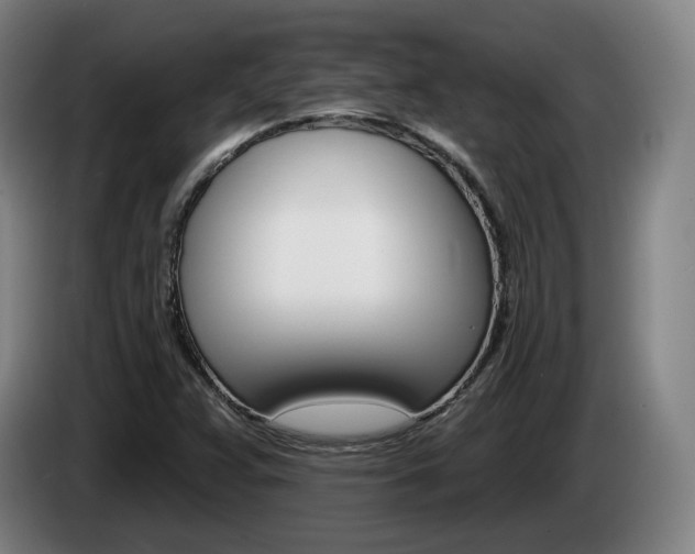 X0000085261359200703090846