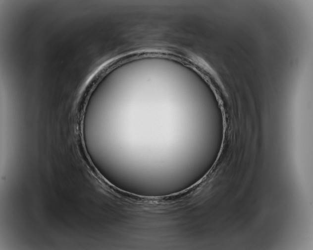 X0000085261360200703090846