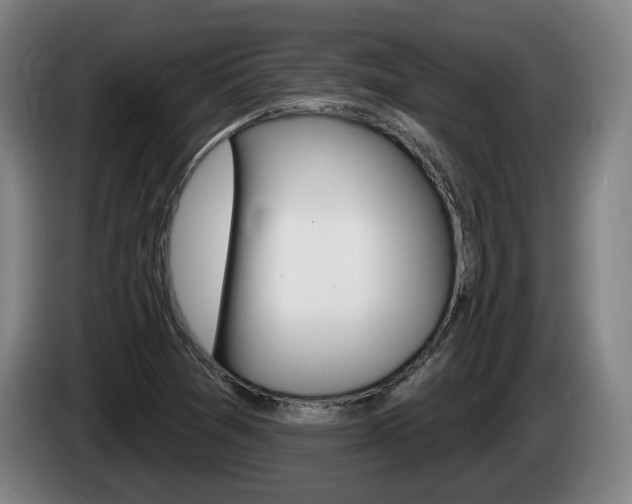 X0000085261361200703090846