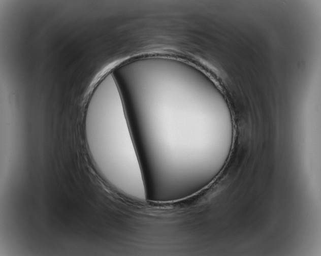 X0000085261363200703090846