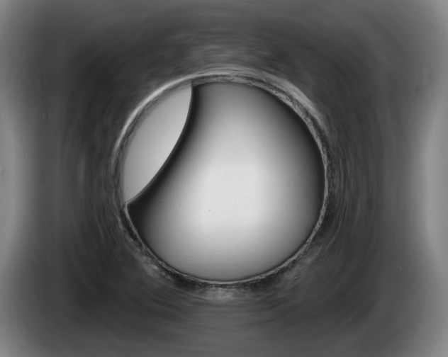 X0000085261364200703090846