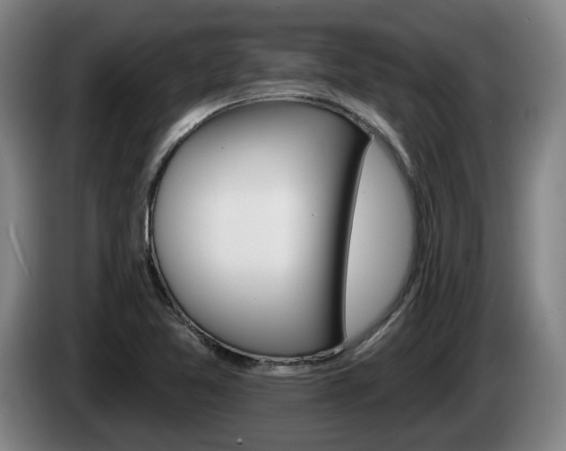 X0000085261365200703090846