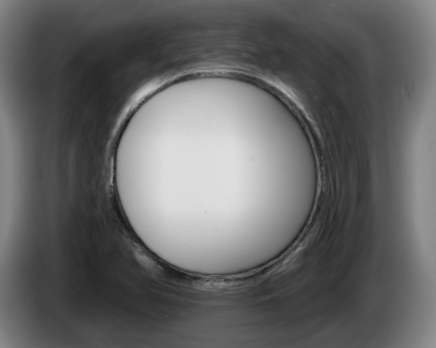 X0000085261366200703090846