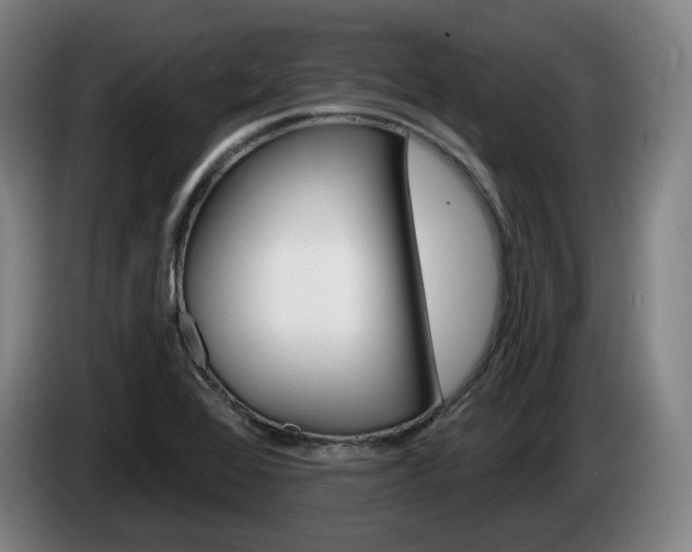 X0000085261368200703090846