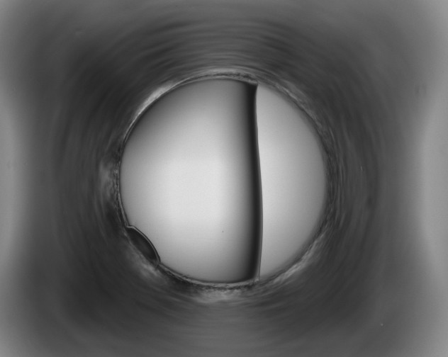 X0000085261369200703090845