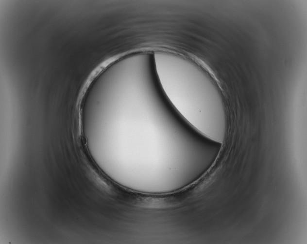 X0000085261371200703090845
