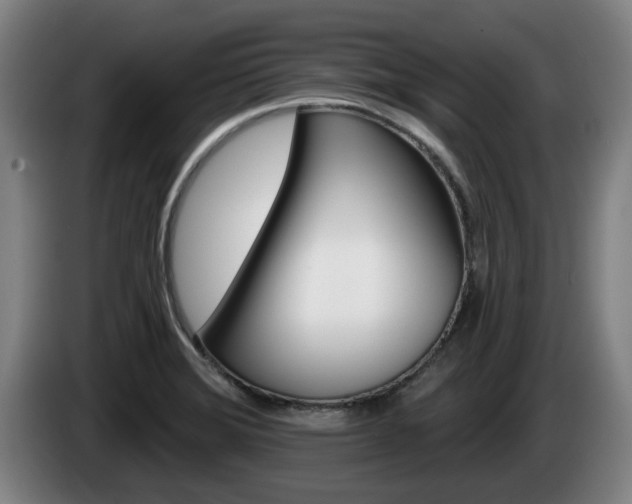 X0000085261372200703090845