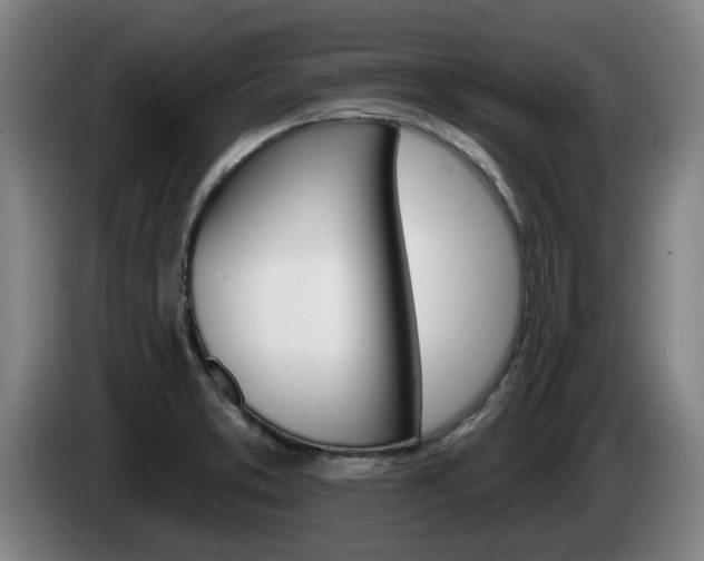 X0000085261373200703090845