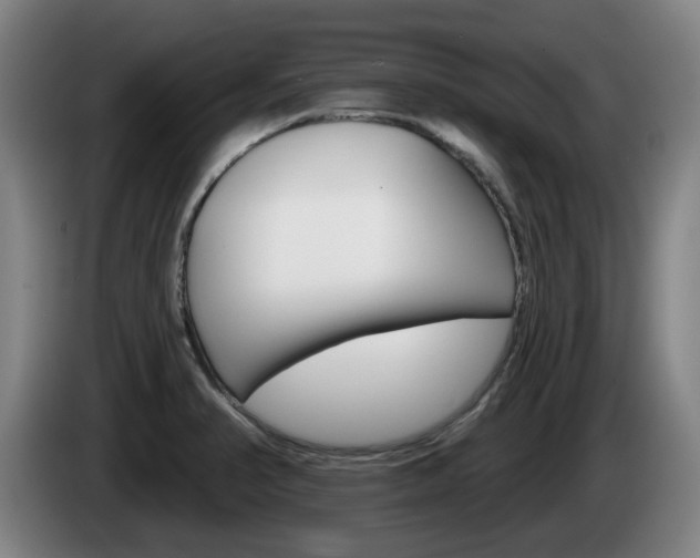 X0000085261374200703090845