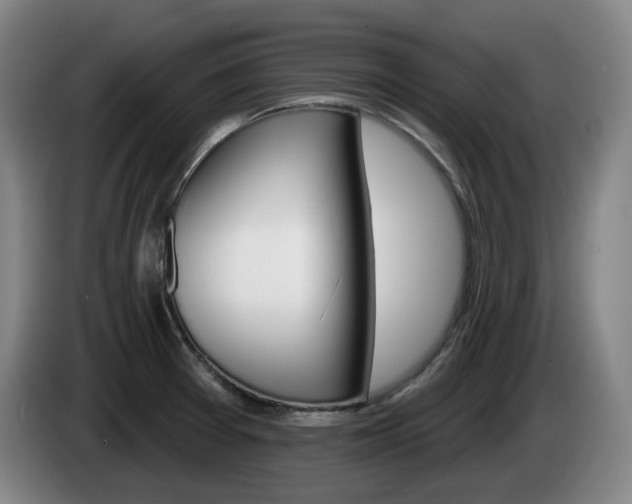 X0000085261377200703090845
