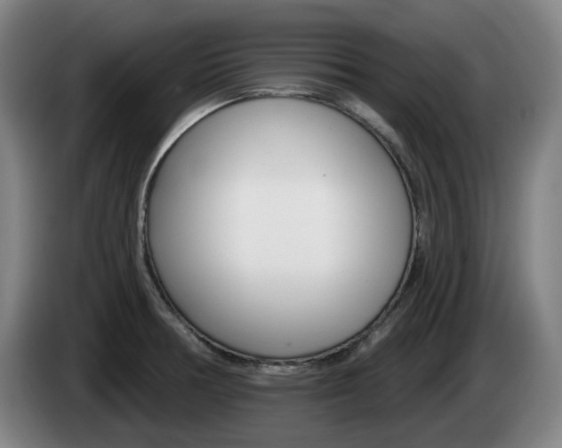 X0000085261378200703090845