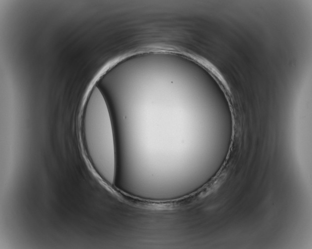 X0000085261381200703090845