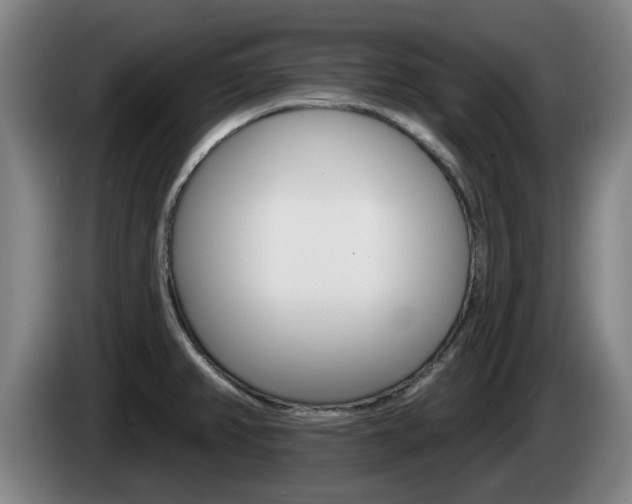 X0000085261382200703090845