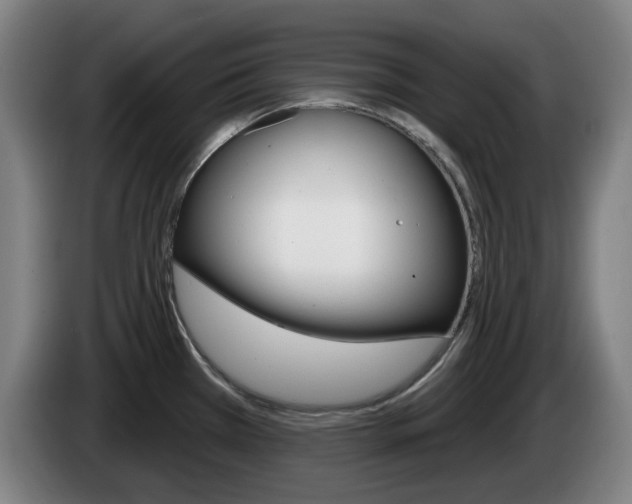 X0000085261385200703090845