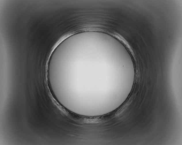 X0000085261386200703090845