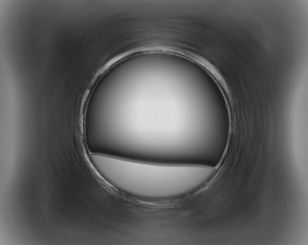 X0000085261388200703090845