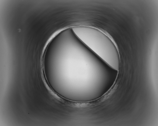 X0000085261389200703090845