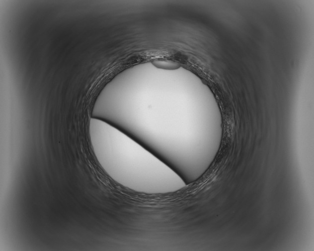 X0000085261393200703090845