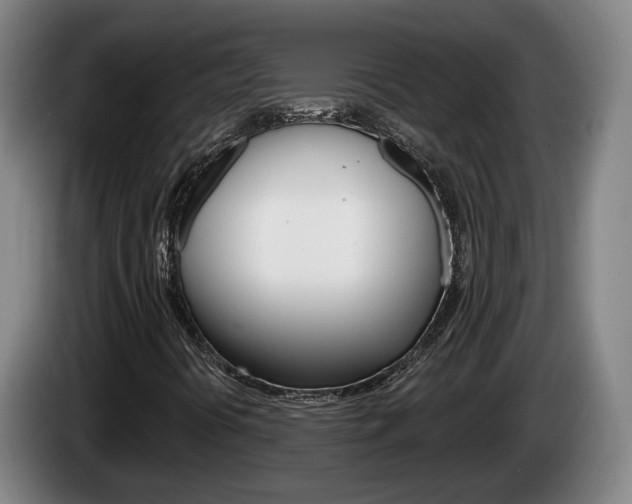 X0000085261394200703090845