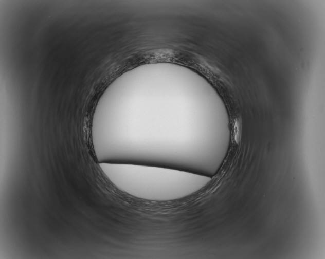 X0000085261395200703090845