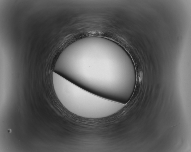 X0000085261396200703090845