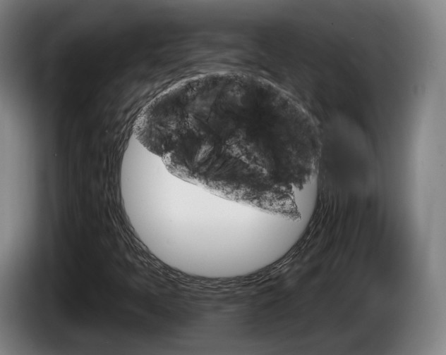 X0000085261397200703090845