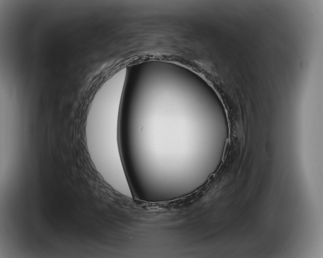 X0000085261398200703090845