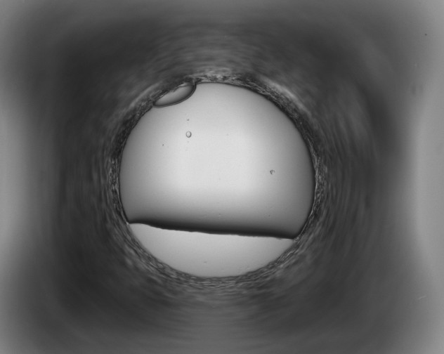 X0000085261399200703090845
