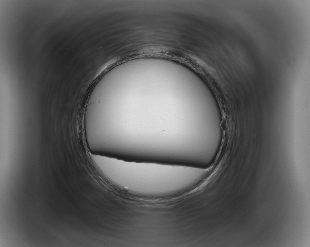 X0000085261401200703090845