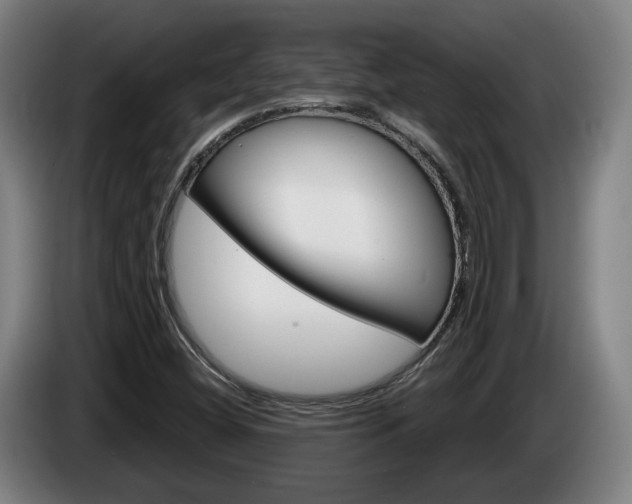 X0000085261404200703090845