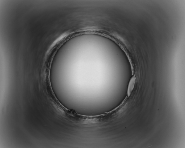 X0000085261406200703090845