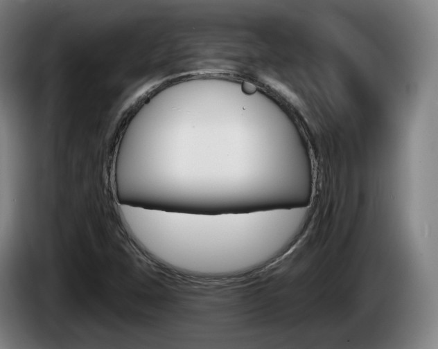 X0000085261407200703090845