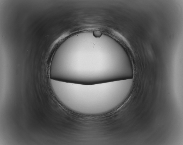 X0000085261411200703090845