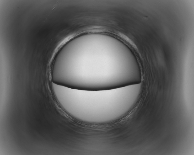 X0000085261413200703090845
