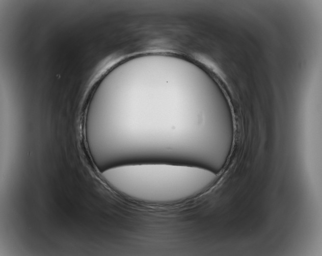 X0000085261415200703090845