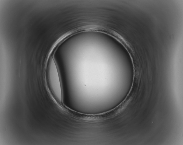 X0000085261418200703090845