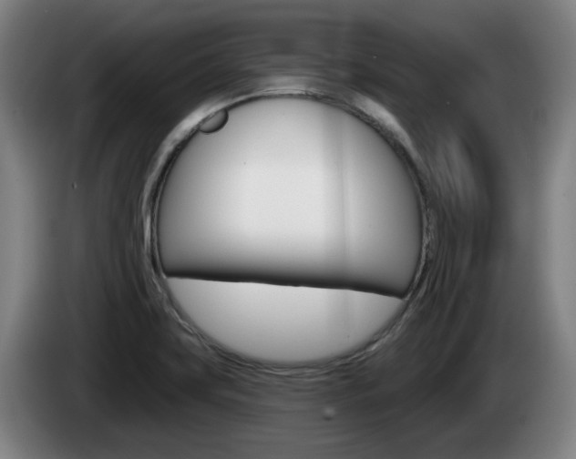 X0000085261419200703090845