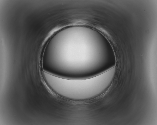X0000085261422200703090845