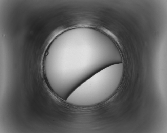 X0000085261423200703090845