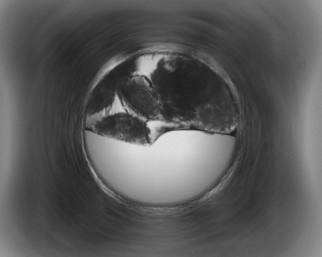 X0000085261425200703090845