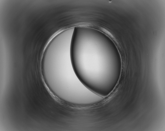 X0000085261426200703090845