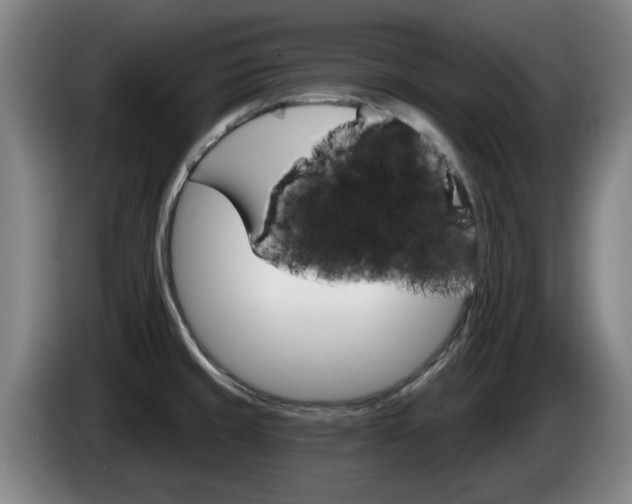 X0000085261429200703090845