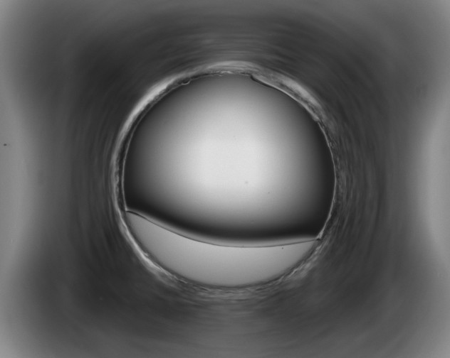 X0000085261430200703090845