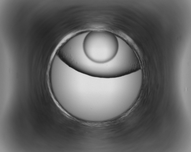X0000085261432200703090845