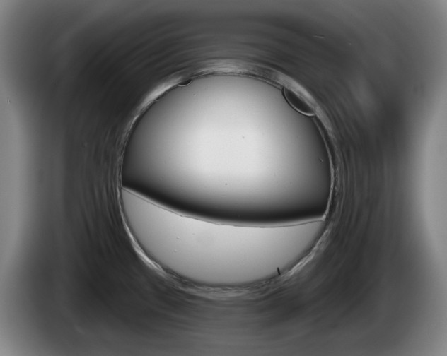 X0000085261433200703090845