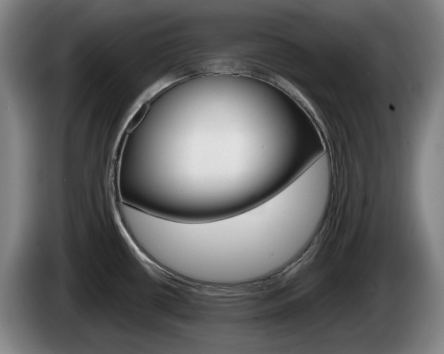 X0000085261434200703090845